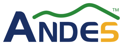 Andes Technology